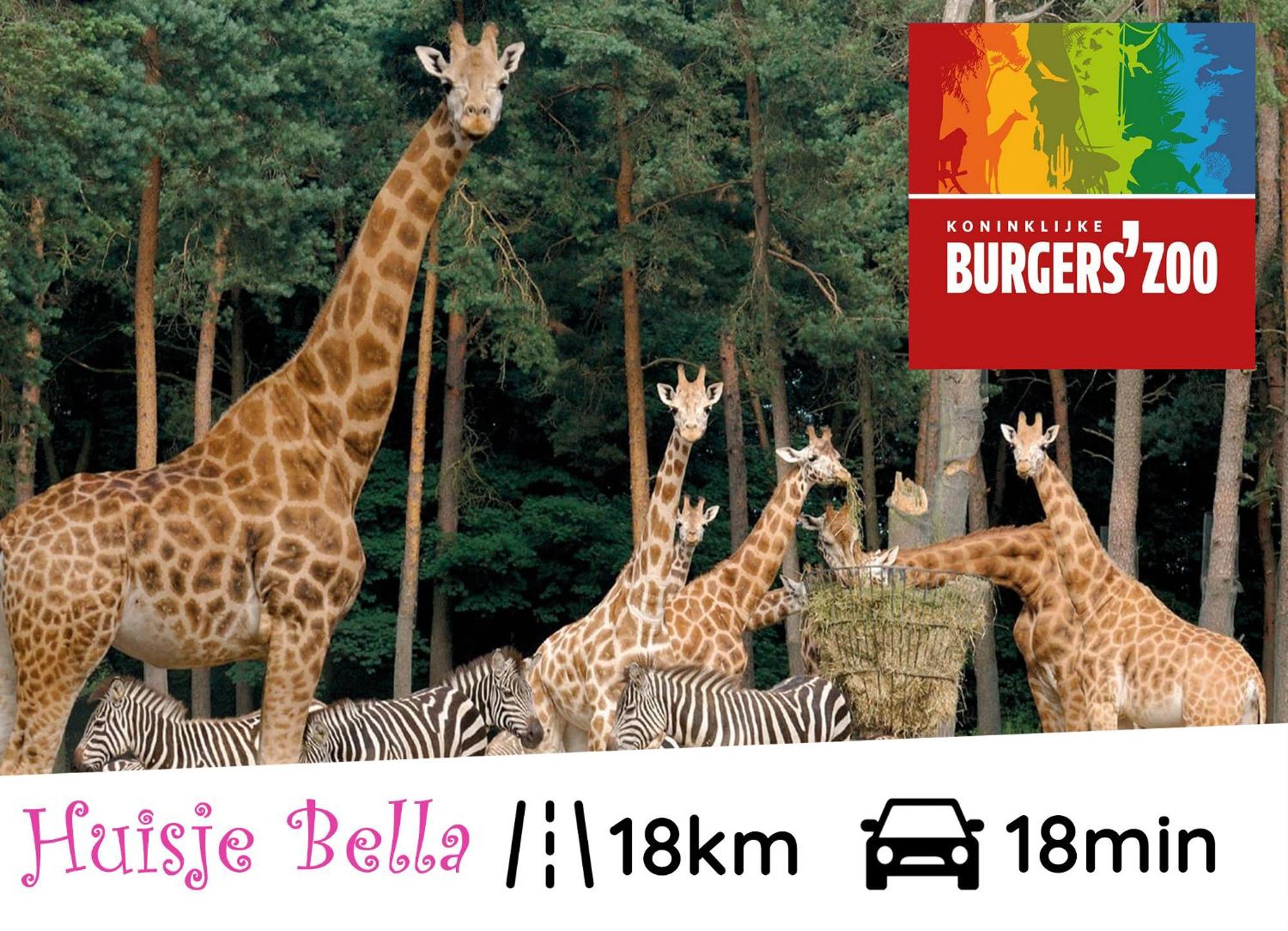 Chalet Huisje Bella Op De Veluwe Max 2 Volwassene 贝克贝亨 外观 照片