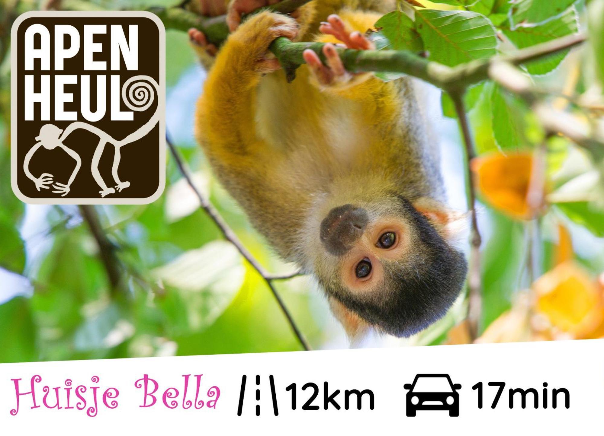 Chalet Huisje Bella Op De Veluwe Max 2 Volwassene 贝克贝亨 外观 照片